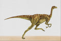 644035 Dromiceiomimus, A Cretaceous Omnivore A4 Photo Print