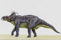 644040 Pachyrhinosaurus, A Cretaceous Herbivore A4 Photo Print