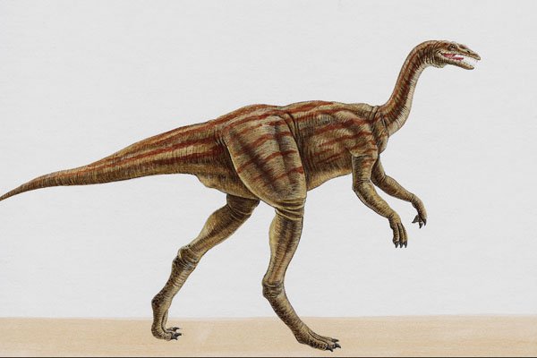 644042 Deinocheirus,a Cretaceous Omnivore A4 Photo Print