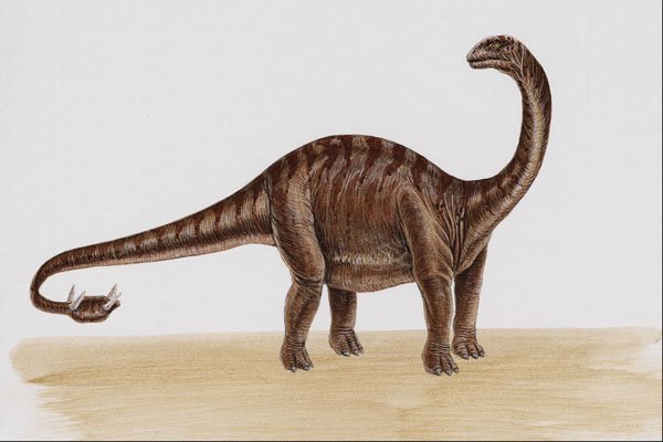 644043 Shunosaurus, A Jurassic Herbivore A4 Photo Print