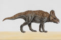 644045 Protoceratops, A Cretaceous Herbivore A4 Photo Print