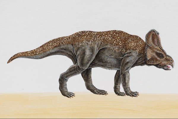 644045 Protoceratops, A Cretaceous Herbivore A4 Photo Print
