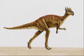 644046 Stygimoloch, A Cretaceous Herbivore A4 Photo Print