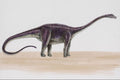 644051 Diplodocus, A Jurassic Herbivore A4 Photo Print