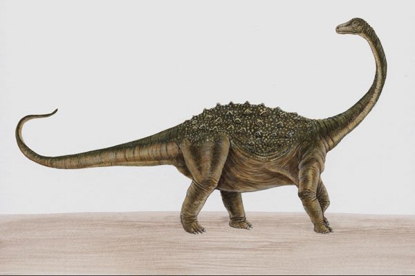 644052 Saltasaurus, A Cretaceous Herbivore A4 Photo Print