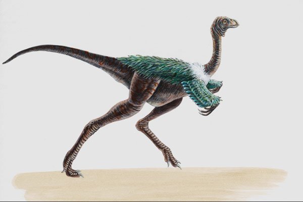 644053 Avimimus, A Cretaceous Omnivore A4 Photo Print