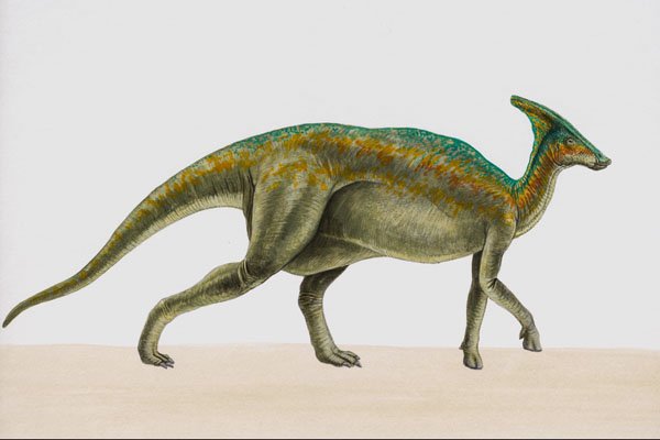 644057 Parasaurolophus, A Cretaceous Herbivore A4 Photo Print