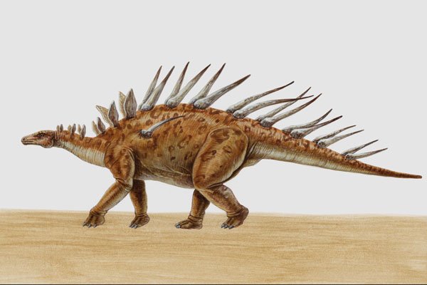 644058 Kentrosaurus, A Jurassic Herbivore A4 Photo Print