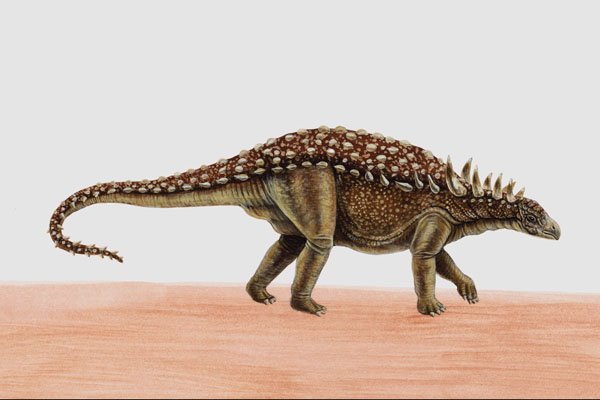 644059 Sauropelta, A Cretaceous Herbivore A4 Photo Print