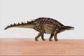 644062 Minmi, A Cretaceous Herbivore A4 Photo Print