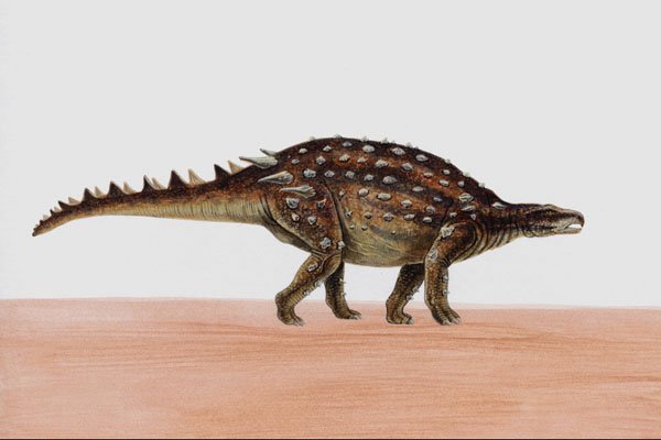 644062 Minmi, A Cretaceous Herbivore A4 Photo Print