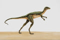 644063 Heterodontosaurus, A Jurassic Herbivore A4 Photo Print