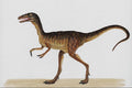 644065 Compsognathus, A Jurassic Carnivore A4 Photo Print
