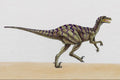 644066 Dromaeosaurus, A Cretaceous Carnivore A4 Photo Print