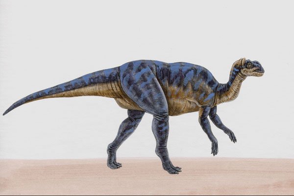 644068 Brachylophosaurus, A Cretaceous Herbivore A4 Photo Print