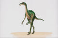644069 Troodon, A Cretaceous Carnivore A4 Photo Print