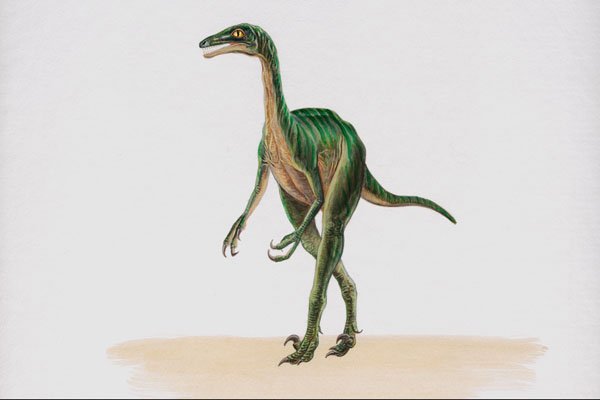 644069 Troodon, A Cretaceous Carnivore A4 Photo Print