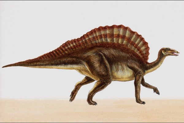 644075 Ouranosaurus, A Cretaceous Herbivore A4 Photo Print