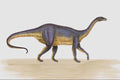 644076 Riojasaurus, A Triassic Herbivore A4 Photo Print