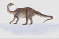 644077 Lufengosaurus, A Jurassic And Triassic Herbivore A4 Photo Print