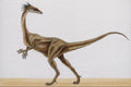 644078 Syntarsus, A Jurassic Omnivore A4 Photo Print
