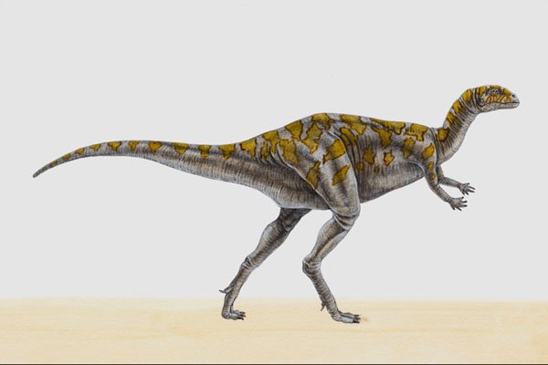 644081 Dryosaurus, A Jurassic Herbivore A4 Photo Print
