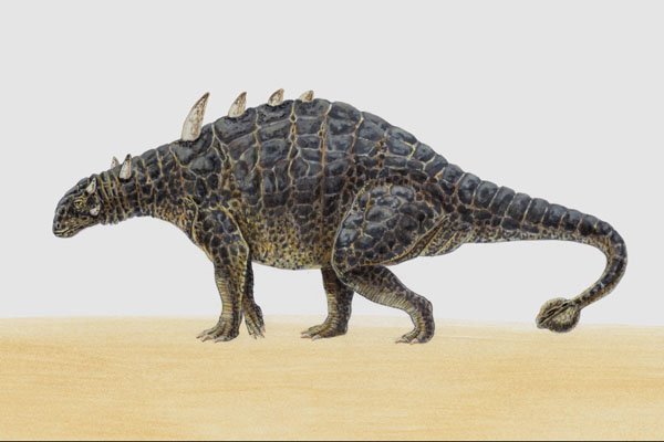 644086 Euoplocephalus, A Cretaceous Herbivore A4 Photo Print