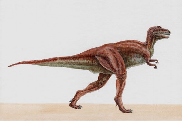 644091 Tarbosaurus, A Cretaceous Carnivore A4 Photo Print