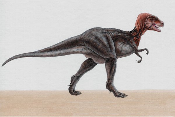 644092 Tyrannosaurus, A Cretaceous Carnivore A4 Photo Print