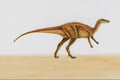644093 Orodromeus, A Cretaceous Herbivore A4 Photo Print
