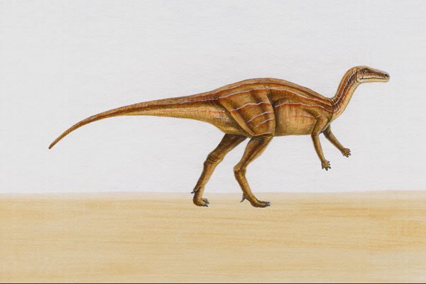 644093 Orodromeus, A Cretaceous Herbivore A4 Photo Print