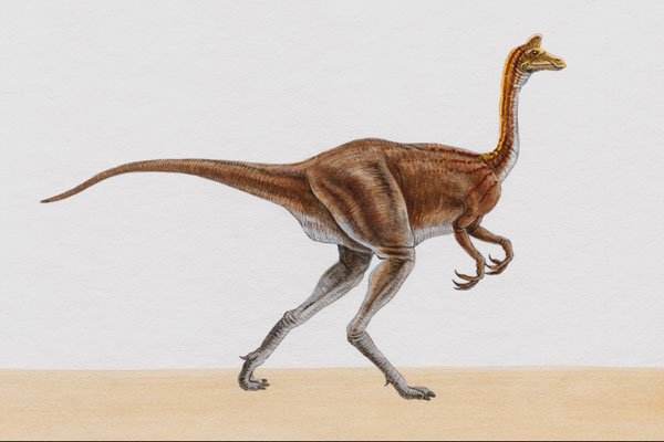 644094 Garudimimus, A Cretaceous Omnivore A4 Photo Print
