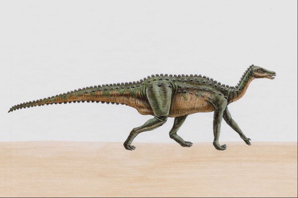 644096 Thescelosaurus, A Cretaceous Herbivore A4 Photo Print