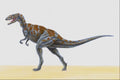 644098 Megalosaurus, A Jurassic Carnivore A4 Photo Print