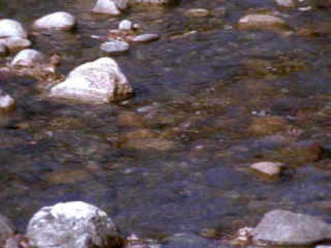 6441001980s 1990s A4 Photo Print