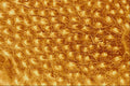 645002 Caterpillar Skin A4 Photo Print