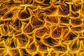 645028 Wasp Back Of Head A4 Photo Print