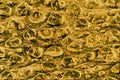 645029 Grasshopper Front Wing A4 Photo Print