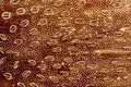 645032 Ant Forehead A4 Photo Print