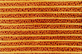 645065 Butterfly Wing Scale A4 Photo Print