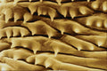 645075 Fly Base Of Tongue A4 Photo Print