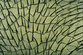 645083 Ant Side A4 Photo Print