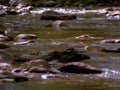 6451001980s 1990s A4 Photo Print