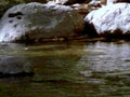 6452001980s 1990s A4 Photo Print
