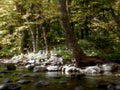 6457001980s 1990s A4 Photo Print