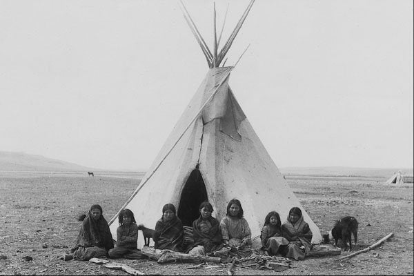 646043 Alberta, 1910; Photo A. Rafton Canning Pa 29750 A4 Photo Print