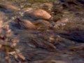 6462001980s 1990s A4 Photo Print