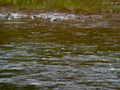 6467001980s 1990s A4 Photo Print