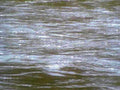 6468001980s 1990s A4 Photo Print