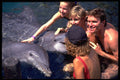 647001 Family Poses With Dolphins A4 Photo Print